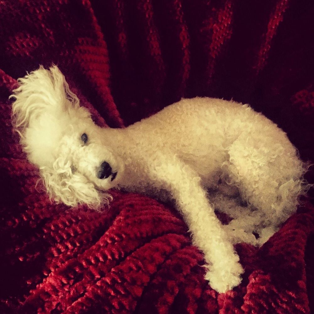 Meet your Posher, Zarina